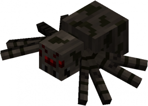 spider.png